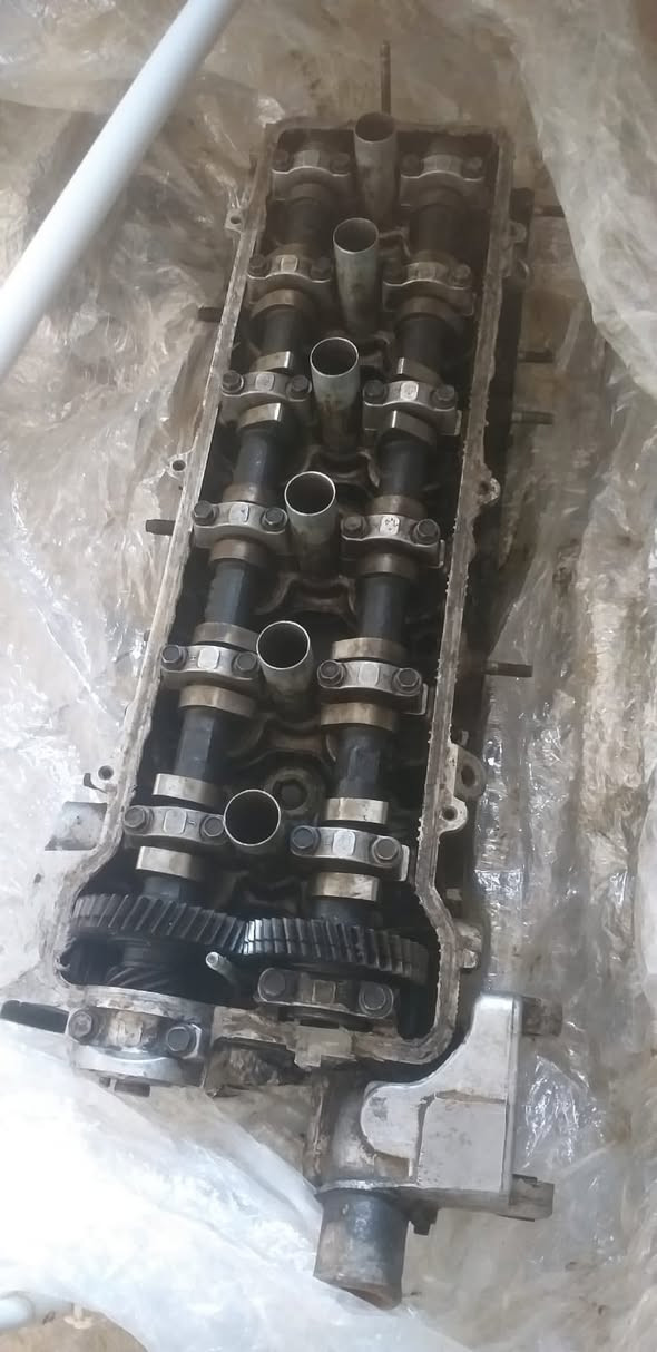 السلام عليكم كاورات ثنين مصفرات وعنبار السعر خاص العنوان البصره الزبير ***********
