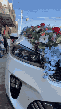 😍مساء العافيه والرزق 😍
🥰جمال وكياته مديل العروسه 🥰
🧡شبه الطبيعي الوان خريفيه ومتوفر الالوان الاساسيه 🧡
💛متوفر توصيل لجميع المحافضات 💛
🤎للحجز مراسله الصفحه او واتس *********** 🤎
🥰متوفر ورد امتار ومتوفر سستم كامل
