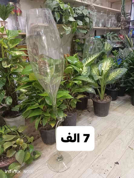 عرض خاص... كميه محدودة. الانبار الرمادي العزيزية من جهة شارع العام  شارع ميسلون ثالث فرع على اليسر  محل داخل الفرع  *********** ... يوجد توصيل داخل الرمادي. @الجميع
