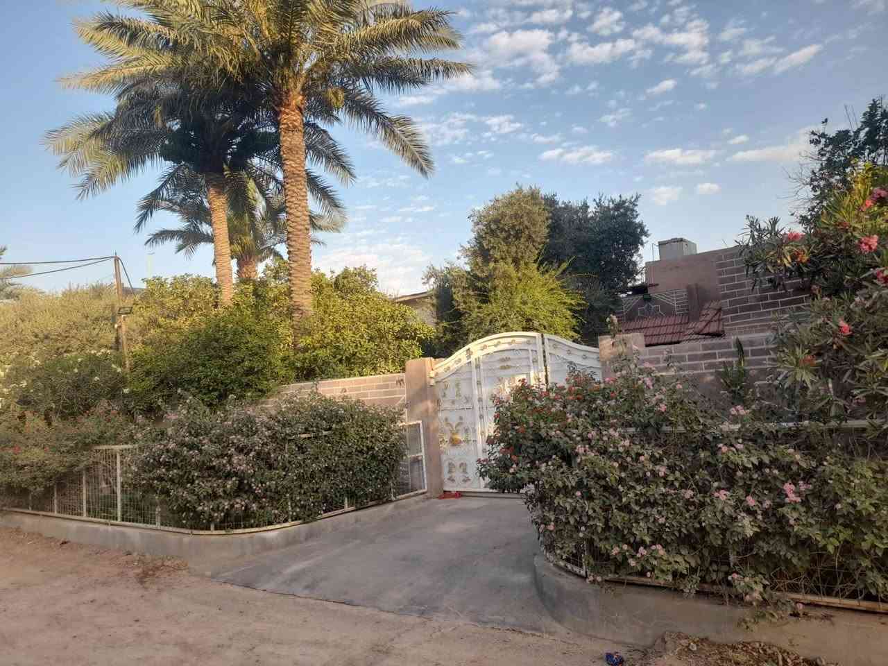 دار سكنية للبيع (كاملة أو مقطعة) في بغداد – أبو غريب.
الموقع: أبو غريب، منطقة الدور الحمر (موقع مميز على شارع بعرض 15 متر، متوفرة كافة الخدمات: مجاري، أسواق، ملاعب، ومدارس).
المساحة الإجمالية: 375 متر مربع (الواجهة: 15 متر، النزال: 25 متر).
خيارات البيع: تباع الدار كاملة، أو مجزأة حسب الطلب على شكل قطع بمساحة (125 متر مربع) للقطعة الواحدة او 250متر مربع).
نوع السند: طابو ملك صرف (من المالك مباشرة).
حالة البناء: جاهز للسكن الفوري، المطبخ كبير ومغلف بالسيراميك، ويحتوي على حدائق داخلية وخارجية (المجموع 4 حدائق)، وكراج يتسع لسيارتين.

تفاصيل وتقسيم الدار:

غرف نوم عدد 3.

هول داخلي + استقبال كبير .

مطبخ كبير سيراميك.

كراج سيارات (يتسع لسيارتين).
***********واتساب

