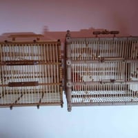 اقفاصه للبيع عمل نجار  07718603979