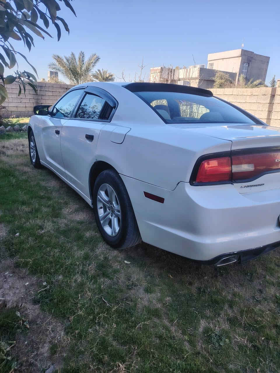 السلام عليكم جارجر موديل 2014كص جنطة متوم طبق الصل شرط الحاسبة سيارة طك كارتون كير ومحرك شرط محرك3600 صدر وتخم تاير طبة كشر وقرقة جديد تبريد تدفئه كلو شغال اربع كشانة كهربائي داخل لونين تحكم ستيرن جهتين شفتان بل الستيرن سيارة فول مواصفات عدة الفتحة مضومت لايت زنون كهربيات كلهة شغالة السعر 62 وبيهة مجال بصيط مكان السيارة العلم قريت الربيضة بيع نقد بدون قصط ولا وعدة ***********)***********
