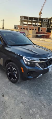 سلتوس ٢٠٢٤ • رقم بابل • فول اوبشن