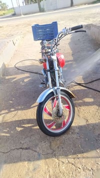 ستوته • ديالى • شقالة فول