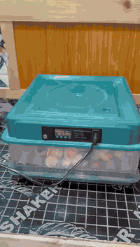 فقاسة اوتوماتيك • ٦٠بيضه • ضمان تفقيس