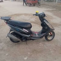 ماكس • مكفوله • الاسكندريه