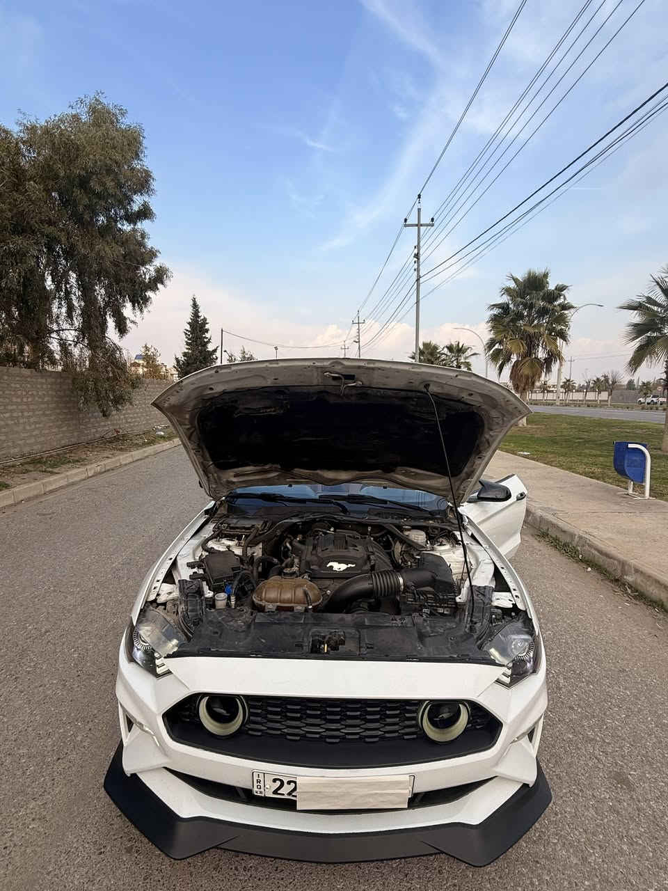 ((ارخص و انضف)) فورد موستنك موديل 2018 فول فول برنيوم بكل العراق 🤍🐎 
((سعرر 132 ورقه  ❤️‍🔥))
موصفات: 
(ايكوو پوست 4 سلندر) 
سياره جديد دينار مصرف مابيه كير مكينه بشرط 
فول 1/1 بريميوم
اربع سلندر 2.3 تيربو
لون ابيض 🤍 
سقف كشف
كشنات جلد 
كشنات كهرباء 
كشنات تبريد وتدفئة
شاشة كبيرة 
نضام كاربلي واندويد
دشبول 7 الوان
لايت زنون بلادي
خمس مودات قيادة
شفتات بالستيرن
كير 10 نمر
تبريد فول ومناخ منفصل
حساسات خلفية
كامرة خلفية دوارة
تشغيل عن بعد مع بصمة ابواب 
داخل لونين 🧡 🖤
علامة الحصان ضوئية بالمري
هيتر بالمري
((كير مكينة بشرط تريك وين ماا تريد )) مكينه ماا مفتوح بشرط
(رقم سنوي جديد رقم اربيل تحويل اول يوم)) سنوي لل 2030
ماشية 81 ميل
حادثه :: بيه (فقد 2 قطعة صبغ) (3 قطع تبديل) حادث خفيف جدا هذا رقم شاصي ⬇️
1FATP8UH5J5155399
سعرر سياره ((132 ❤️‍🔥)) ورقة

عنوان سياره ((زاخوو قريب عن دهوك 💟))

للاستفسار اتصل بهذا ارقام ⬇️

***********

واتساب موجود بيهم 
***********
