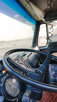 نساف البي كرواتي للبيع 07731227396