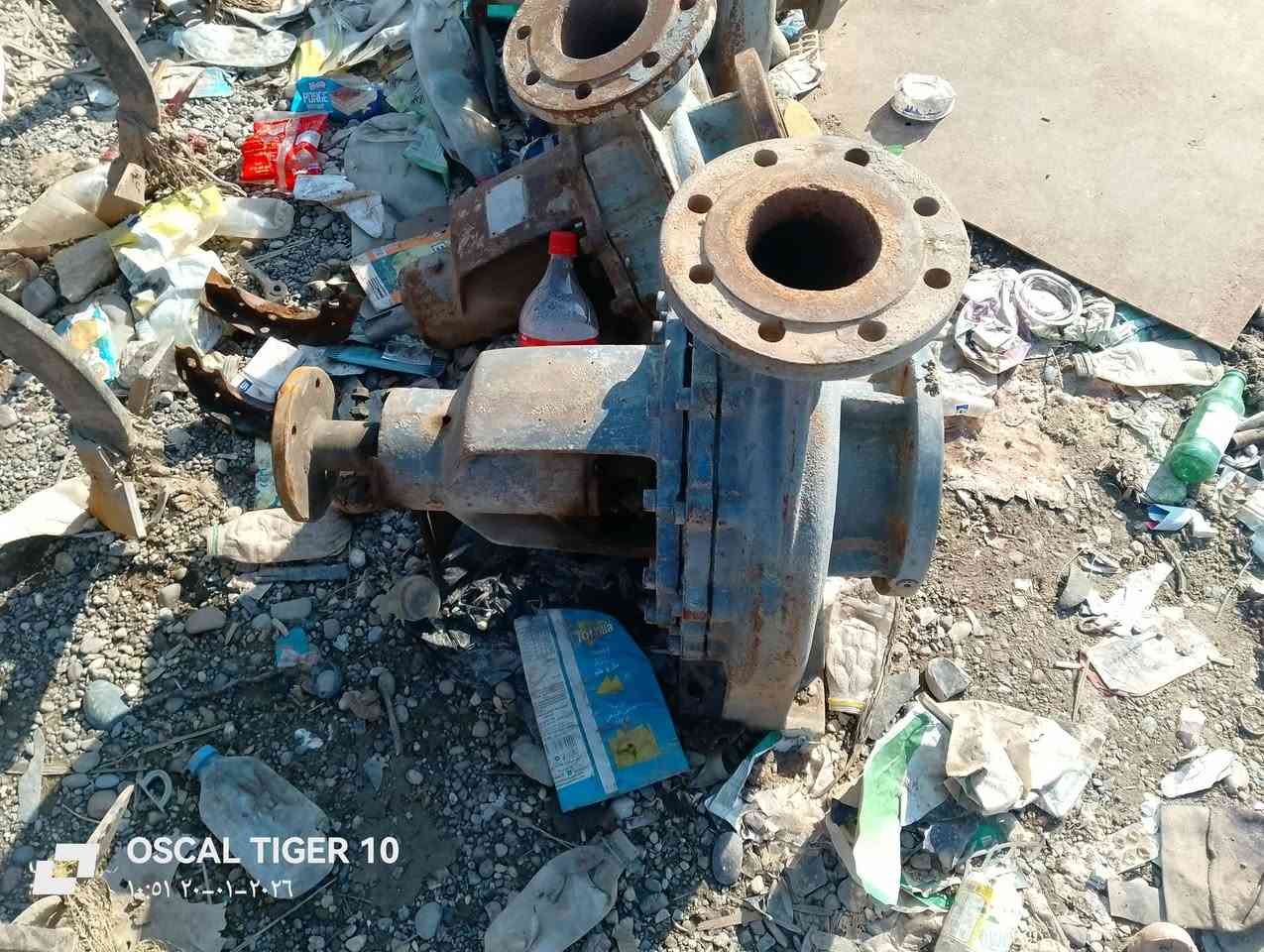 السلام عليكم خنزيرات للبيع كلشي مابيه المكان جنوب الموصل حمام عليل ***********==***********
