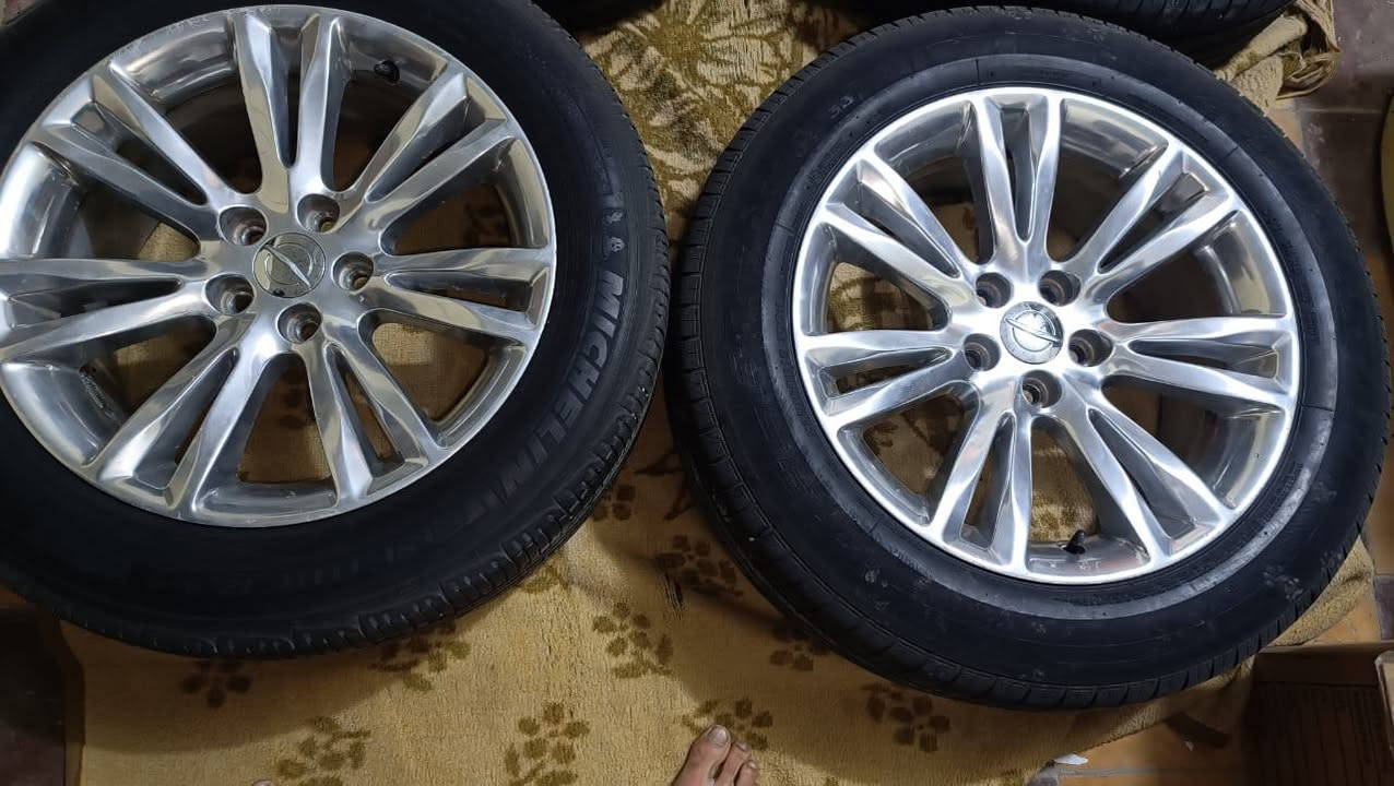 السلام عليكم ويل حجم 18 مكسيكي الاصلي مكفول من الحيم من العواج من فطر سعره 900 الف وبي مجال قليل العنوان البصره المعقل  للاتصال على الرقم ***********
