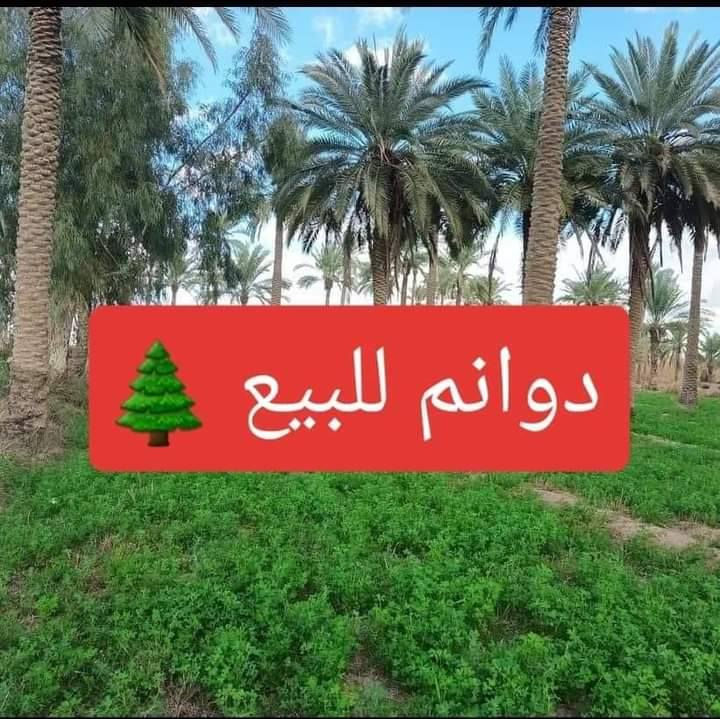 عرض مميز الجميع من يرغوبن في شراء الاراضي الزراعية 
8دونم منطقة الشيخ عامر بغداد التاجي مقابل سبع البور
جنس الأرض طابو زراعي سند 25 ثاني يوم افتحلك بيان
جه الدونم 50 متر ونزال 50  مربع 
السعر الدونم 30 مليون وقابل للتفاوض
خدمات كامله كهرباء ماء اساله سقي سكن مدارس كلشي  وابيع دونم ماكو مشكله
للاتصال والاستفسار =***********يتوفر واتساب

