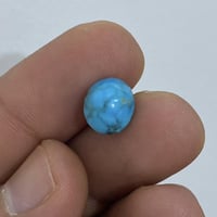 فيروز نيشابوري • فصوص • تواصل خاص