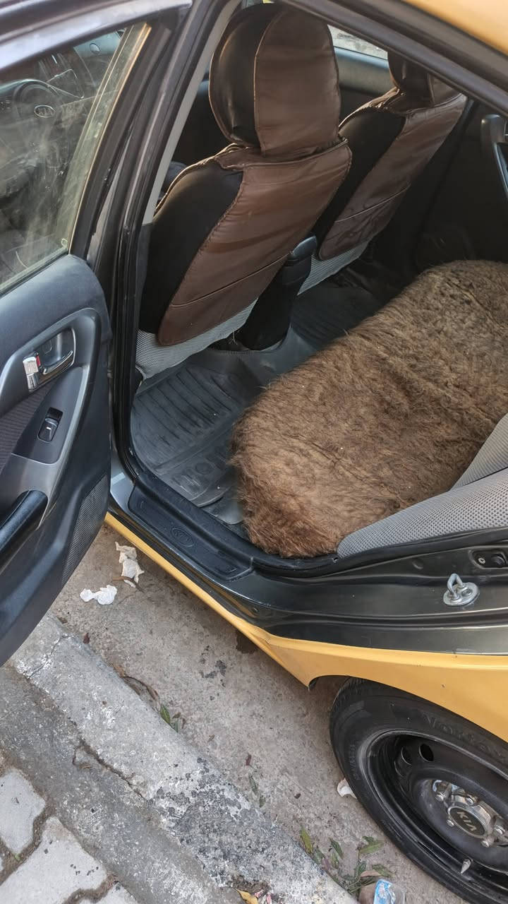 فورتي موديل ١٣بغداد باسمي مكينه 200 دوش لايت زنون منظومة غاز تخم تاير نقص غاز تبريد سعر 88باسمي بغداد. الحسينيه


**إذا كنت صاحب هذا الإعلان وتريد حذفه لأي سبب، رجاءا أرسل رسالة إلى الدعم الفني**