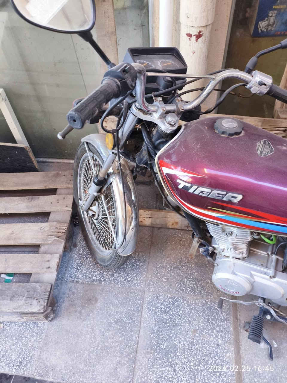 من رخصه الادمن. لاتنطي موعد وتخلف الفف رحمه لوالديك دراجة تايكر باكستاني موديل 2021 دراجه كامله متذب عليها ربع غير تفيلس ولاستيك ولف يبس لين جانت واكفه لفتره ما تكلفك بالزايد 15 بس اما الدراجه من الطول للطول جديدة رايدها 430 وبيها مجال مكاني بغداد العامرية  رقمي بي واتس ***********
