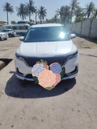 وارد أمريكي • 3500 • جلد
