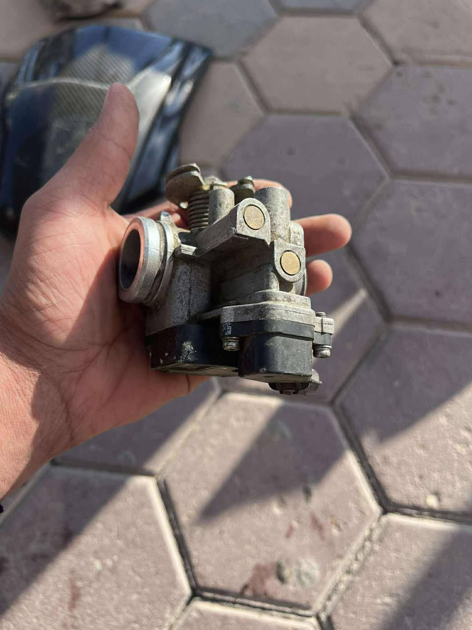 غراض سكنس جبلي للبيع
***********
