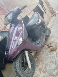 فراشه • شغاله • سلف