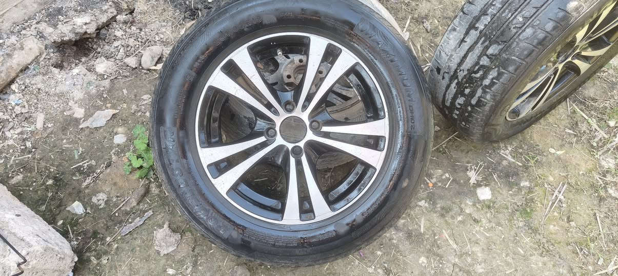 تخم ويل ٤ ستد حجم ١٥  للبيع
***********
