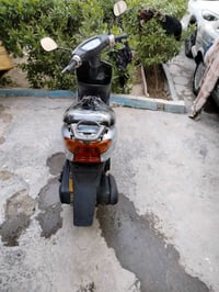 عصفورية • جديدة