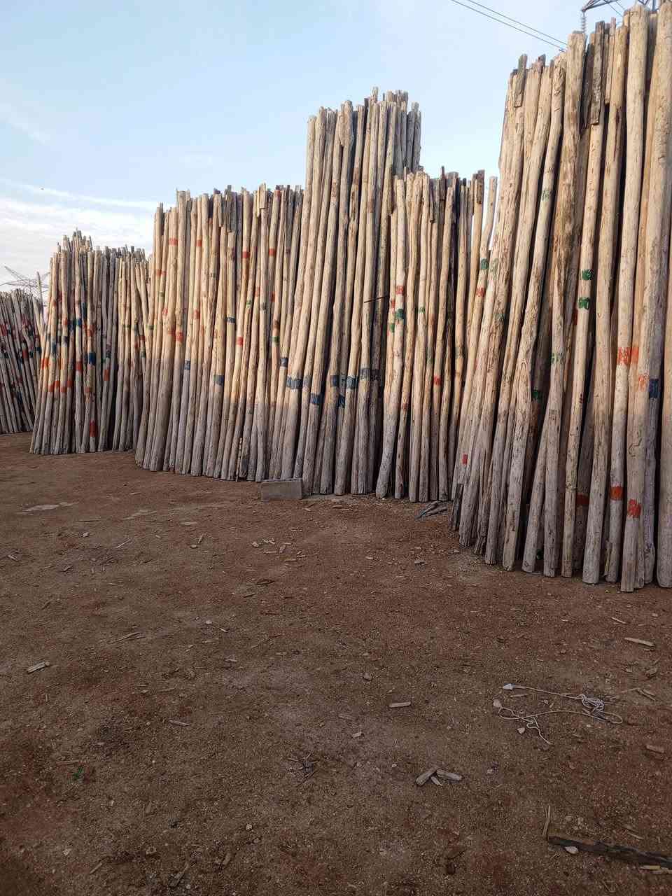 تكم للبيع 5000 تكم بابل ***********
