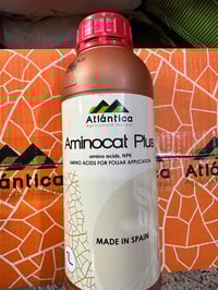 منشطات • مجموعة • ديكور