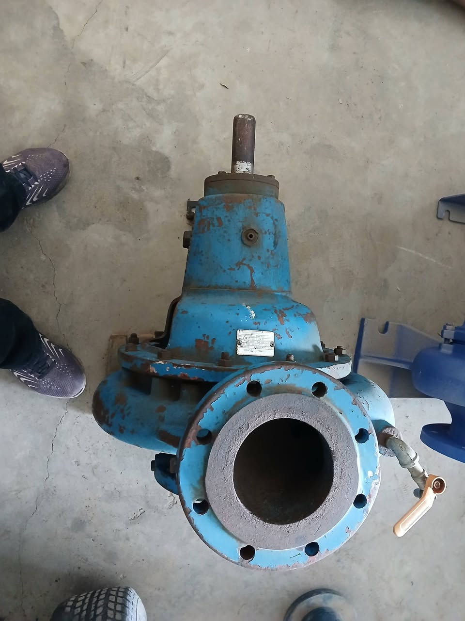 خنزيرة تركيا ٦في٥ بشارة ابراص ***********سيدرحيم
