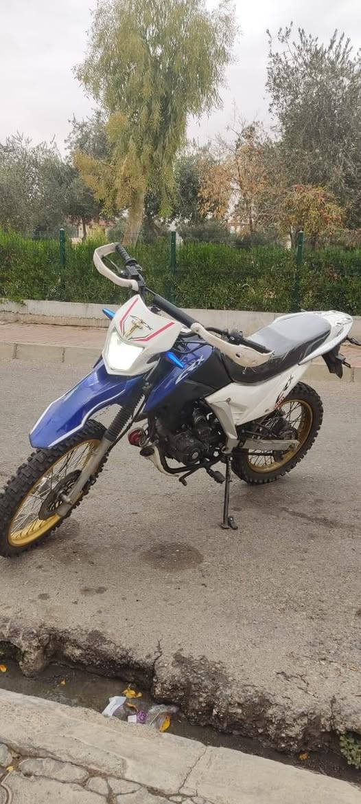 نظيفة كلش بدون اوراق أربيل, العراق


**إذا كنت صاحب هذا الإعلان وتريد حذفه لأي سبب، رجاءا أرسل رسالة إلى الدعم الفني**