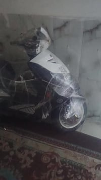 دراجة سيجنس • فحل • فيديو