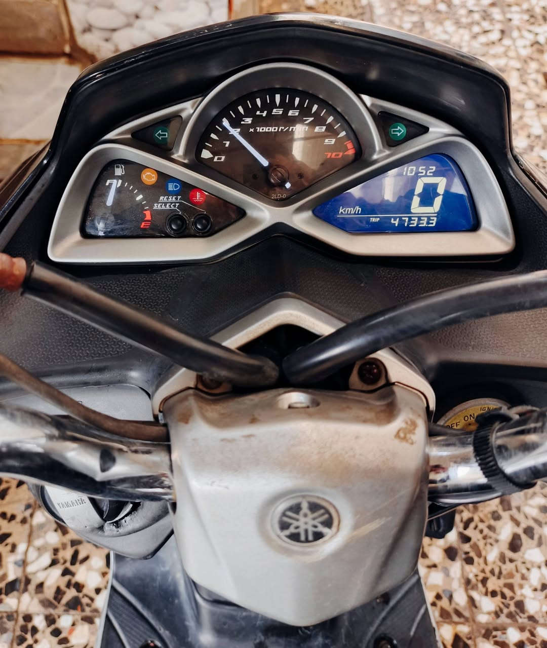 سلام عليكم للبيع ماجسته اس الحديث
دراجة نضافه خير من الله 
ما بيهة اي نقص من كل نواحي
سعر 8$ وبيها مجال 
مكان مدينة 
***********
