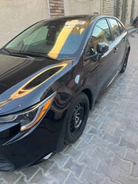 كورلا ٢٠٢٤ • بدون صبغ • باسمي