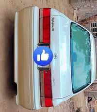 رأس الثور افلات • ١٩٩٦ • نجف ناحية القادسية