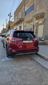 راف فور ماروني • ٢٠١٨ • رقم اربيل
