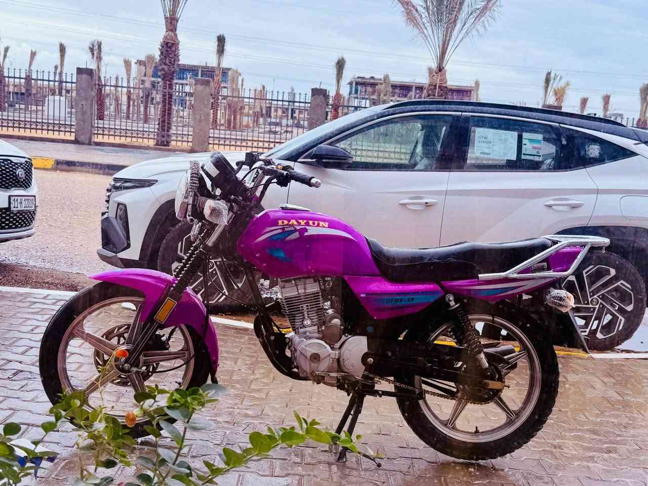 السلام عليكم اخوان دايون عضم مديل 23 ما مفتوحه كفاله عام ما عده الخسفه الي بل تانكي
مكاني كربلاء ***********
