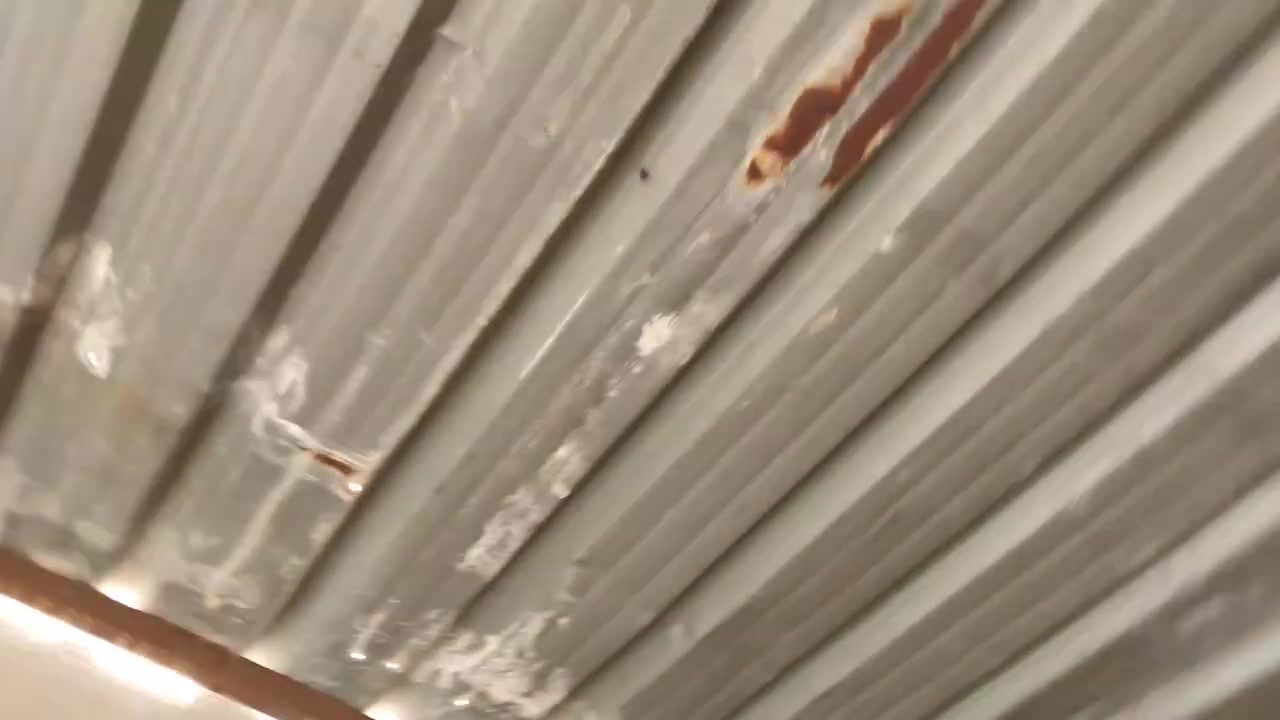 للبيع كلمن وسعره. قيم بما يرضى الله وضميرك وحظك وبختك  مستعجله ع بيعتهن  جدا محتاجه افلوسهن


**إذا كنت صاحب هذا الإعلان وتريد حذفه لأي سبب، رجاءا أرسل رسالة إلى الدعم الفني**