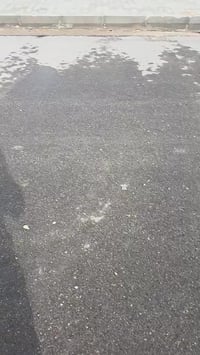 السفحه الاولى • ٢٠٠م • اسكان ٥١