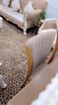 النجف الغدير • كنب