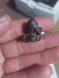 هبهاب • جامد