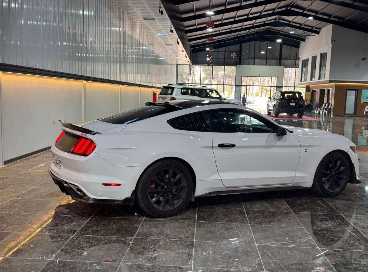 كوردى / عربي
Ford Mustang 2016 ecoboost

١١٥ ميل رۆيشتووه
 هه موو گيانى شه ريكەيه بىێ ده سكارى
بوياخ جەمه له خى سايەق و نوكى بۆنيت بێ ناو گرتن.
 مه كينه ٢.٣ تۆربۆ چارج hp310
گێر ومه كينه به شەرت
زۆر كەم به نزين سه رف ئه كات و زۆر به قوته.
 ئيرباگى سوكان تەقيوه و شەريكەی بو دانراوەتەوه به شەرت
نرخ  ١٣٥$ 
 به ناوى خۆمانە وسەنەوى تا ٢٠٢٨ تازەيه.
 سه ياره كه له سليمانيە

***********
***********
whats app & viber

عربي /
ford mustang 2016 ecoboost
ماشيه ١١٥ مايل
سيارة كل شي بلادي
جامخ سايق صبغ و شوية من بنيد بدون دواخل مكينة ٢.٣ توربو ٣١٠ حصان مكينة و كير بشرط مابي أي خلل
صرفية بنزين كلش قليل و إقتصادي و مكينة كلش قوية سياره بسمى و سنويه جديده لحد ٢٠٢٨
ايرباك ستيرن طاك و راجع بلاديه
سعر ١٣٥ $
مكان السيارة السليمانیة
***********
***********
whats app & viber السليمانية, العراق
