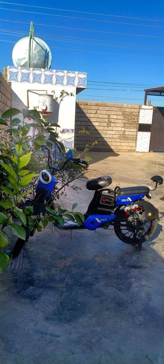 السلام عليكم دراجه شحن للبيع شغاله ما بيها اي نقص دراجه سعر 125 العنوان بيجي


**إذا كنت صاحب هذا الإعلان وتريد حذفه لأي سبب، رجاءا أرسل رسالة إلى الدعم الفني**