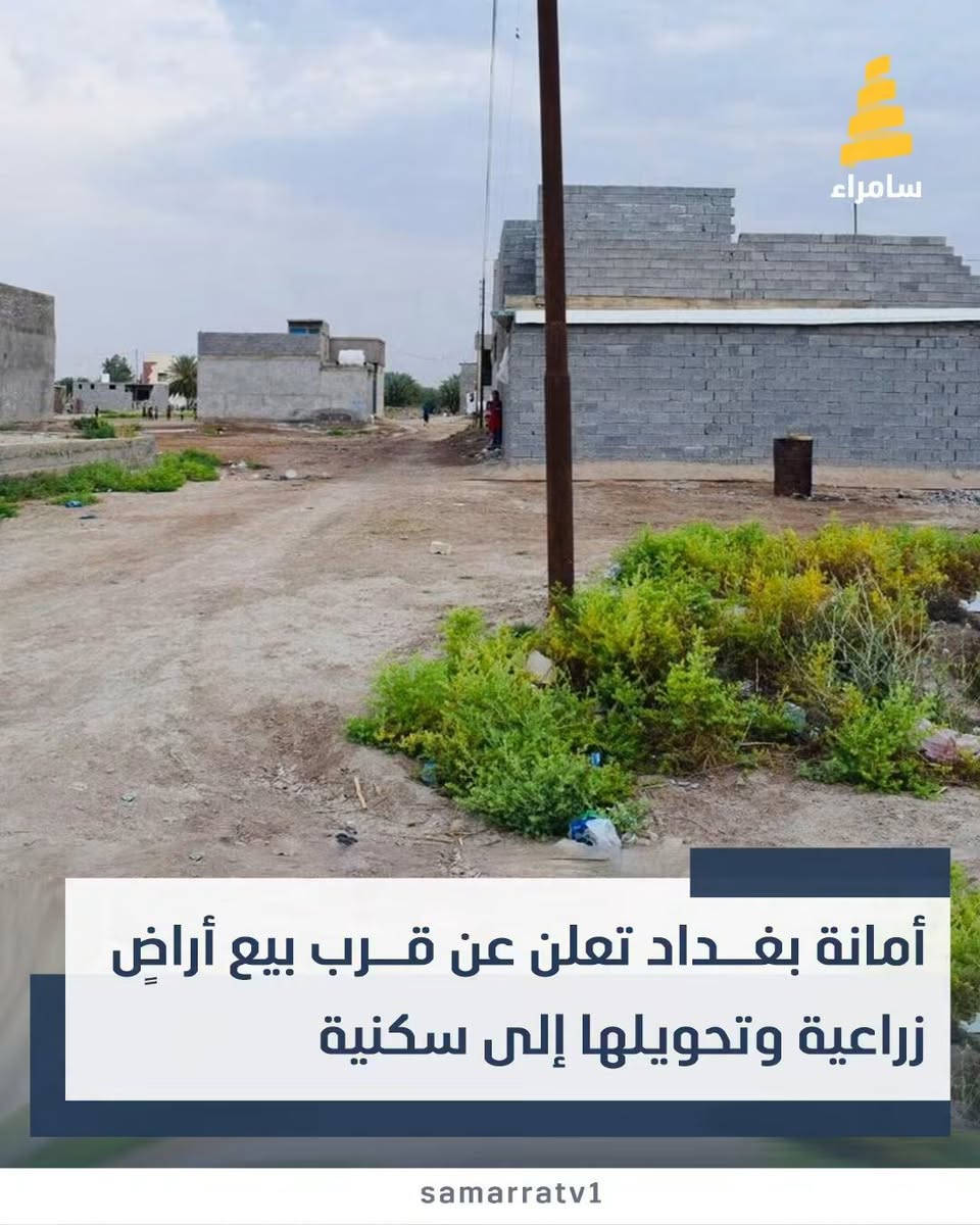 السلام عليكم ورحمه الله 50م البيع بسعر مناسب في الشعله دوانم شارع ابو دراج ***********
