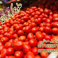 طماطم ٥٠٠ باذنجان ٧٥٠ بطاطا ٧٥٠ خيار ٧٥٠ بصل ابيض ٧٥٠ بصل اصفر ٧٥٠ بصل...