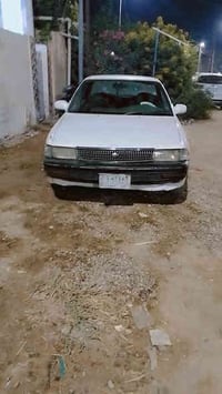 كرونا عضم للبيع مكفوله من الكصه ونقل جثه رقم نجف السعر 34وبيه مجال الا...