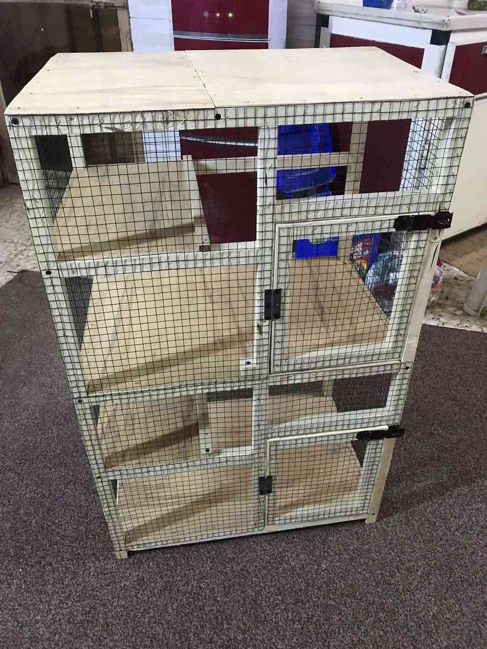 من رخصة الادارة قفص خانتين الارتفاع95سم والعرض60والنزال40 كل خانه بيها رف/كربلاء حي الانتفاضه الثانيه


**إذا كنت صاحب هذا الإعلان وتريد حذفه لأي سبب، رجاءا أرسل رسالة إلى الدعم الفني**