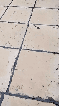 بسم الله الرحمن الرحيم
يوجد كادر عمل.... 
جير السطوح والأساس و عمل الماستك 
 سعر المتر (2000 دينار ) وشغل عل ضمان
للتواصل( *********** ) 
او المراسله على  الصفحه
