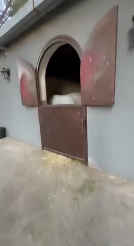مزرعه سجاد ابن عاليه نصيف في البوعيثة


**إذا كنت صاحب هذا الإعلان وتريد حذفه لأي سبب، رجاءا أرسل رسالة إلى الدعم الفني**