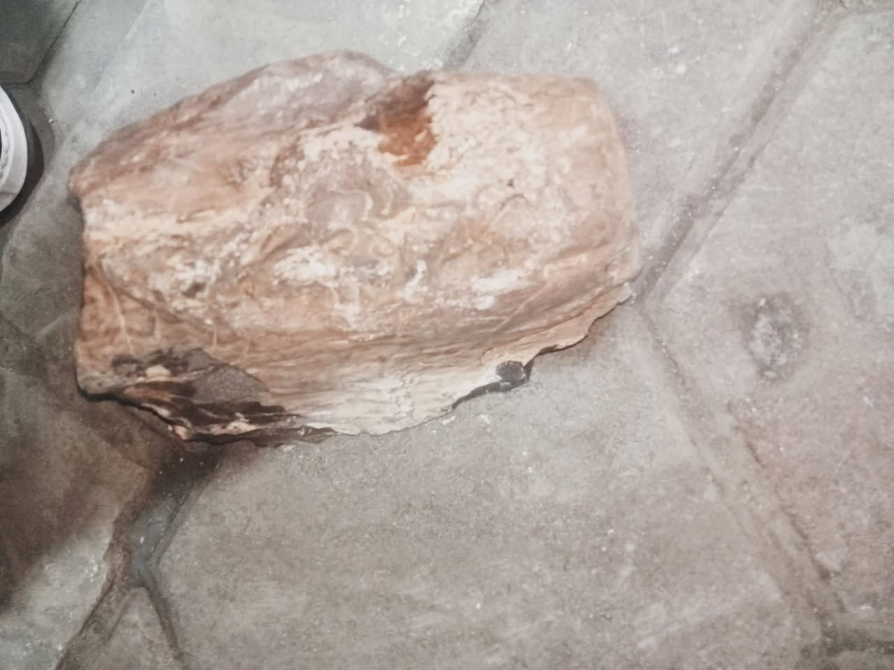 صخره خشبيه تعود عمرها ملايين السنين


**إذا كنت صاحب هذا الإعلان وتريد حذفه لأي سبب، رجاءا أرسل رسالة إلى الدعم الفني**