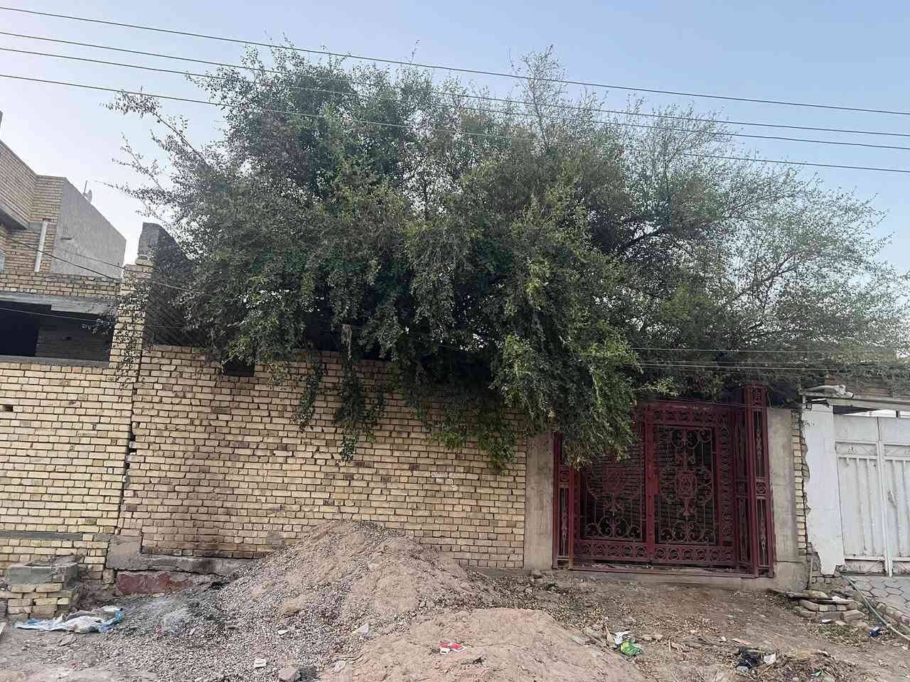 السلام عليكم بيتين ب قطاع 30
البيت الاول شارع المدارس 
والهيكل سايدين مال مدرسه جواهري
اي استفسار اتصال على هذا الرقم ***********
