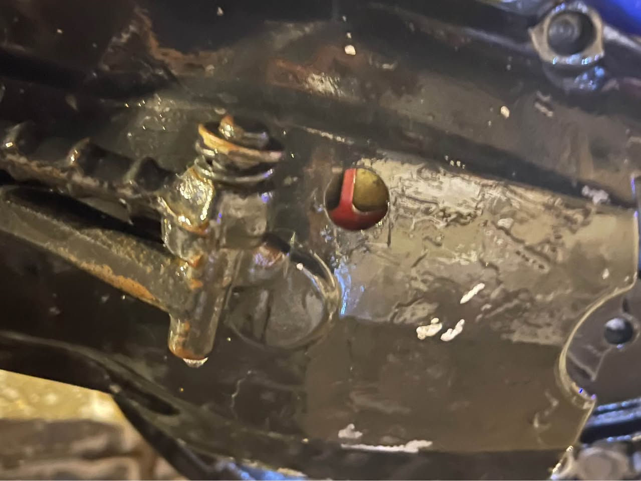 سكنس نثيه مزوده كابريتر قفاز مكينه تخم كلجات جاملغات عقل يدات كلشي بيها مزود البصرة, العراق


**إذا كنت صاحب هذا الإعلان وتريد حذفه لأي سبب، رجاءا أرسل رسالة إلى الدعم الفني**