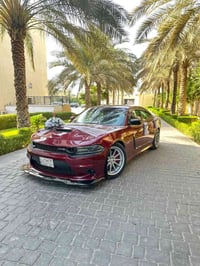 سكات باك • ٦.٤ لتر • ٢٠٢٠