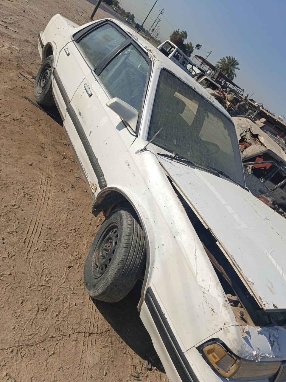 تفيصخ***********
